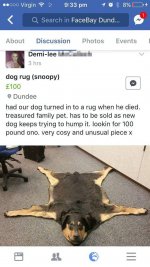 dogrug.jpg