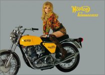 6d1136e43d3f1a5ea8aaa04f4b9a1343--norton-commando-birds.jpg