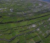 IMG_0404.jpeg
