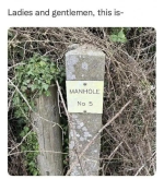 1745135932388.png