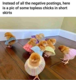 1745135972378.png