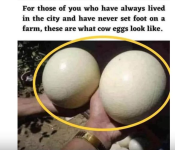 1746103958622.png