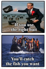 1746260139050.png