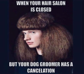 1746345807994.png