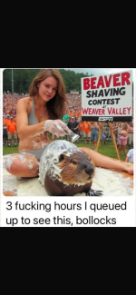 1746453964363.png