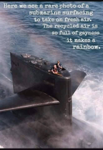 1746519099578.png