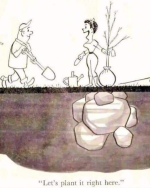 1746622266442.png