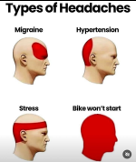 1000004640.png