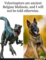 1747032091948.png