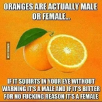 1747051913446.png