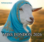 1747234155756.png