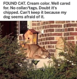 1747234211621.png