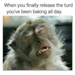 1747317902059.png