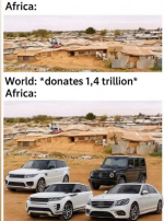1747571077088.png