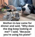 1747581691816.png