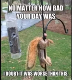 1748949252365.png