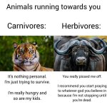 1749104850002.png
