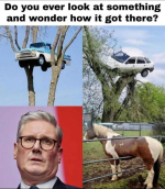 1749554062843.png
