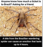 1749883636921.png