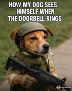 1750225445514.png