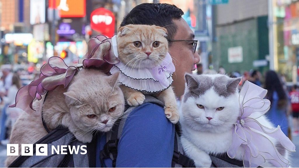 www.bbc.co.uk